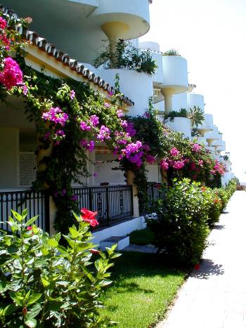 Pathway leading past apartment