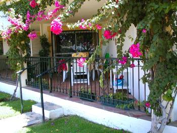 Apartment patio  photographed in August